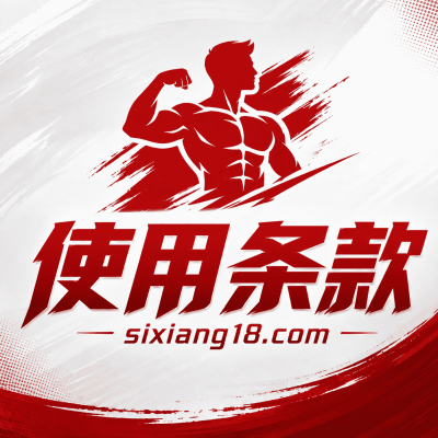 使用条款